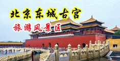 内射人体艺术馒头逼中国北京-东城古宫旅游风景区